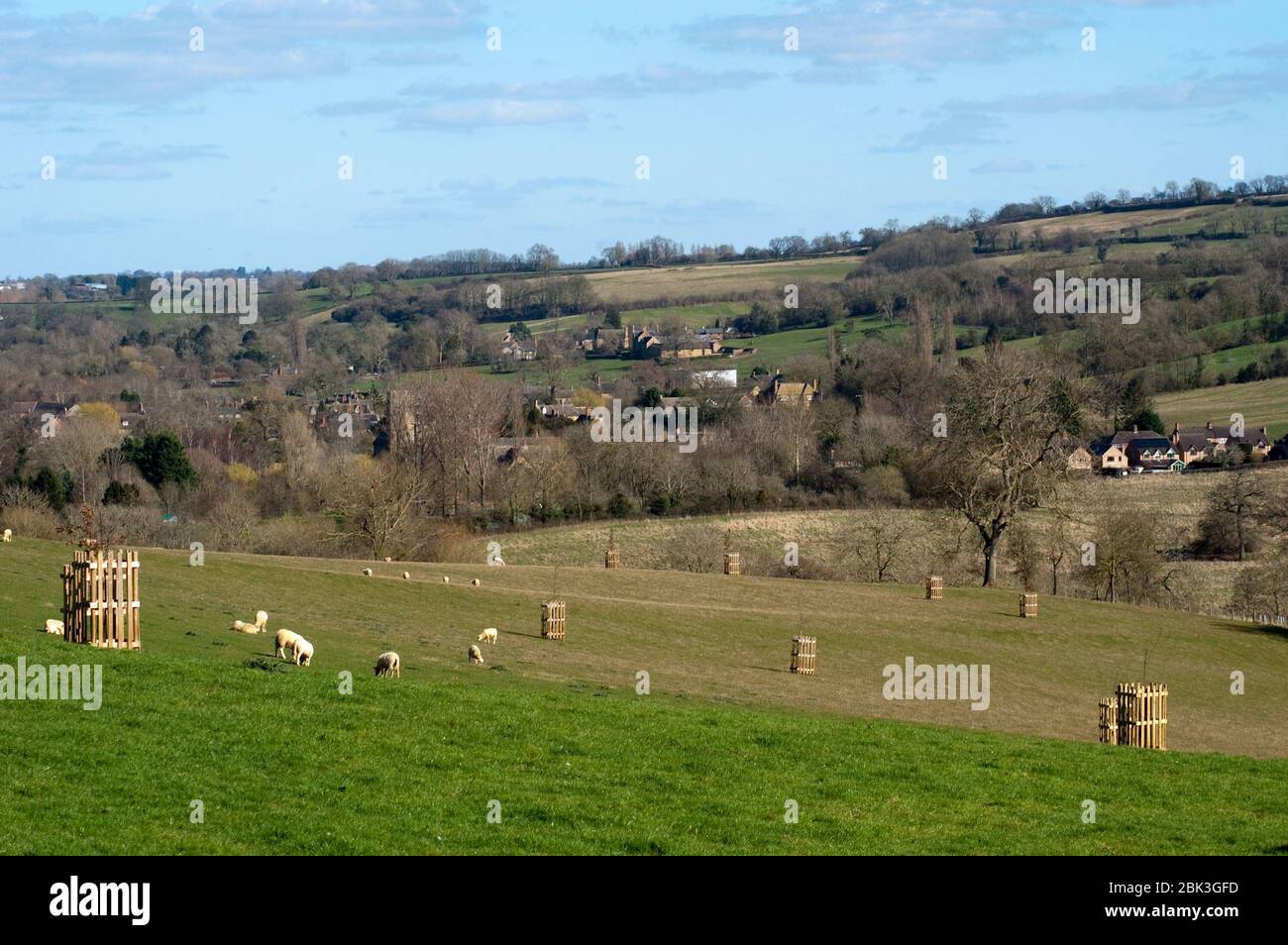 Whichford avec Sheep au premier plan Banque D'Images