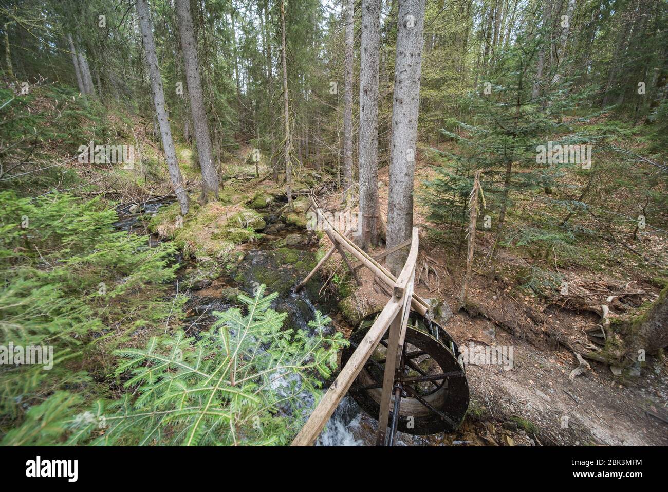 roue de l'eau dans la forêt en allemagne. Banque D'Images