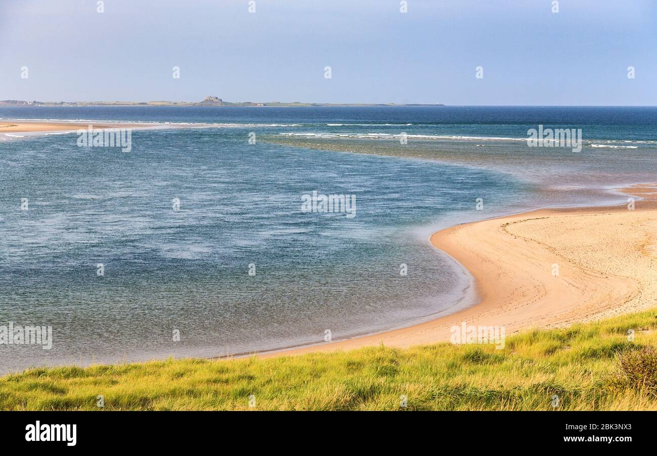 Marée haute à Budle point sur la baie de Budle avec l'île de Lindisfarne à l'horizon, Northumberland, Angleterre Banque D'Images