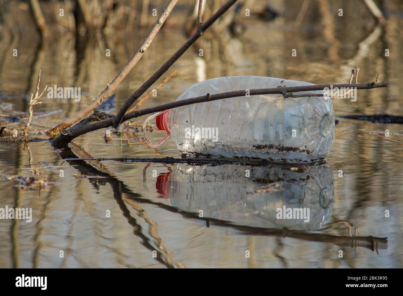 Bouteille en plastique dans le Danube, Serbie. Banque D'Images