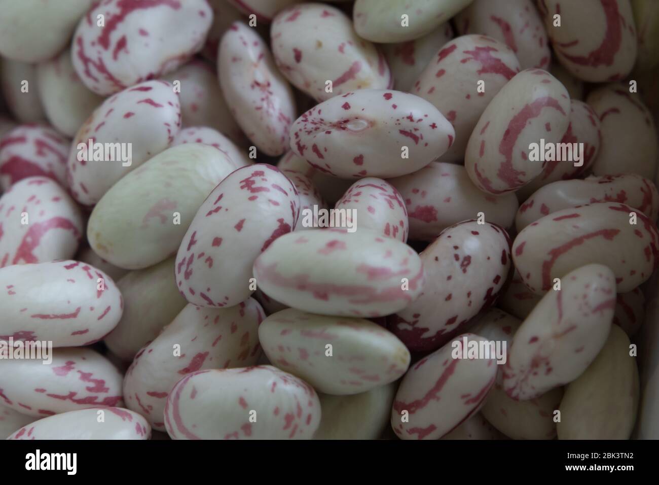 l'extraction des haricots rouges est bonne Banque D'Images