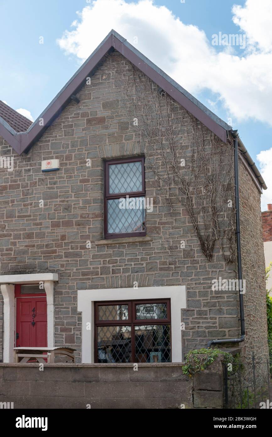 Bristol-avril-2020-Angleterre-une vue rapprochée des racines qui poussent sur le côté d'une maison dans la rue principale, avec le ciel bleu et les nuages en arrière-plan, Banque D'Images