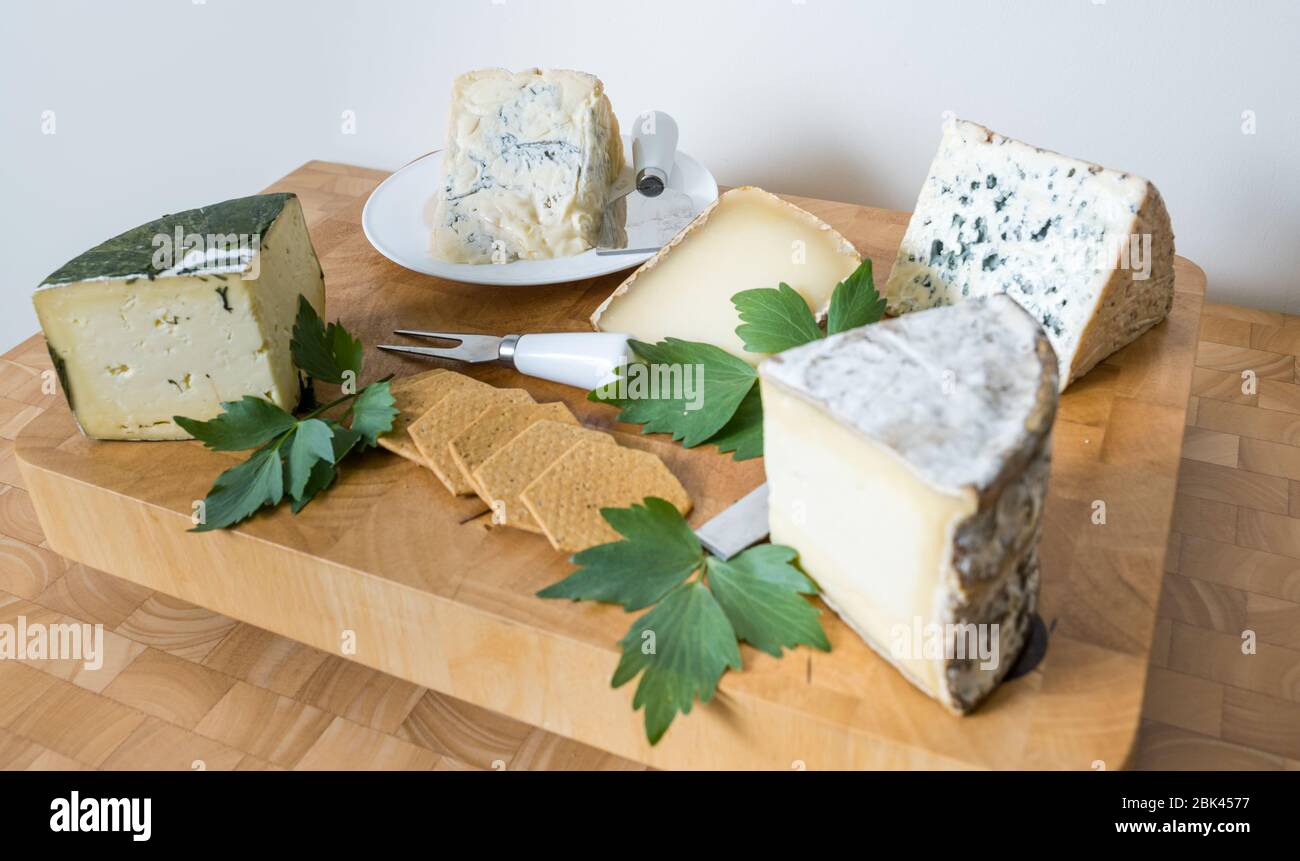 Présentation des fromages artisanaux : ail Yarg, Gorgonzola, Ossau Iraty, Bleu d'Auvergne et Gorwydd Caerphilly Banque D'Images