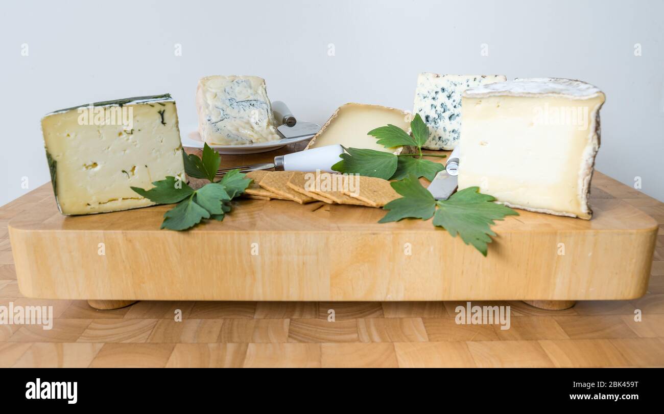 Présentation des fromages artisanaux : ail Yarg, Gorgonzola, Ossau Iraty, Bleu d'Auvergne et Gorwydd Caerphilly Banque D'Images
