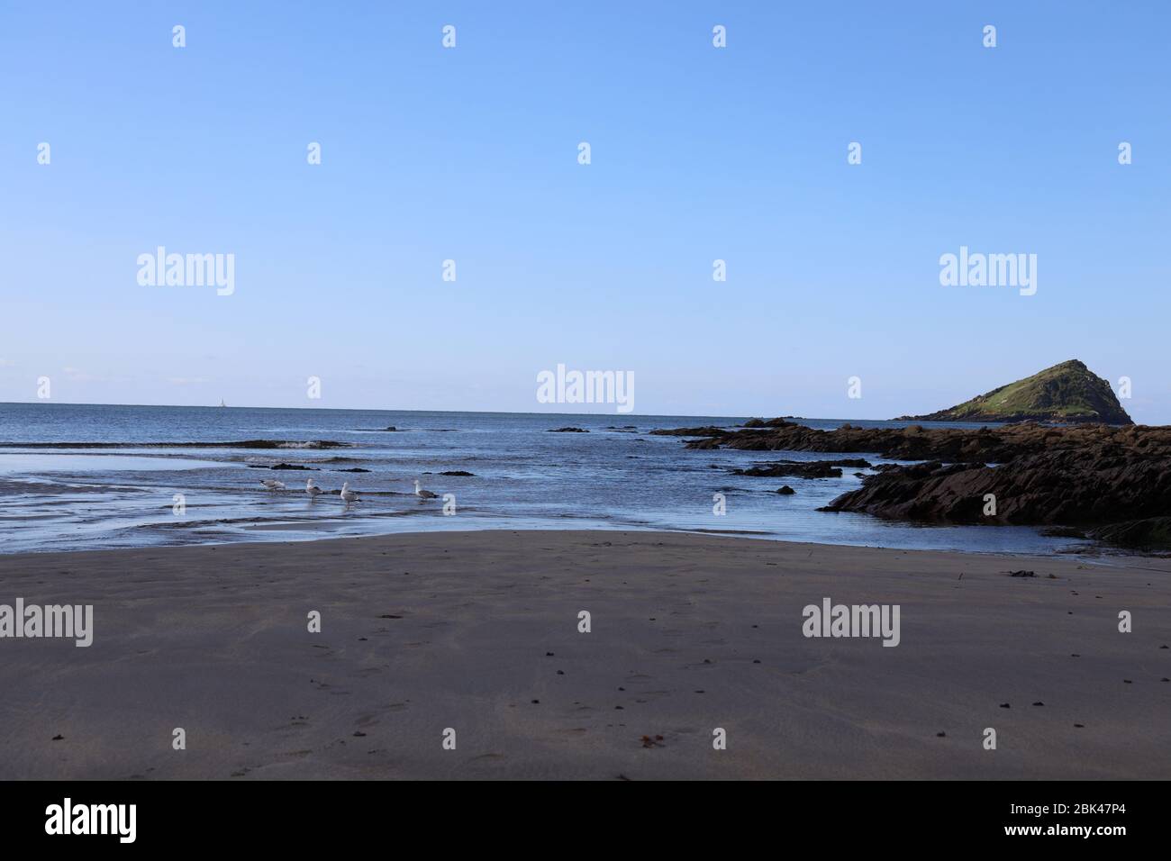 Le Great Mewstone, la plage de Wembury près de Plymouth. Vue de la plage primée de Wembury à la Great Mewstone à marée basse. AONB. Devon Royaume-Uni pas de personnes. Banque D'Images