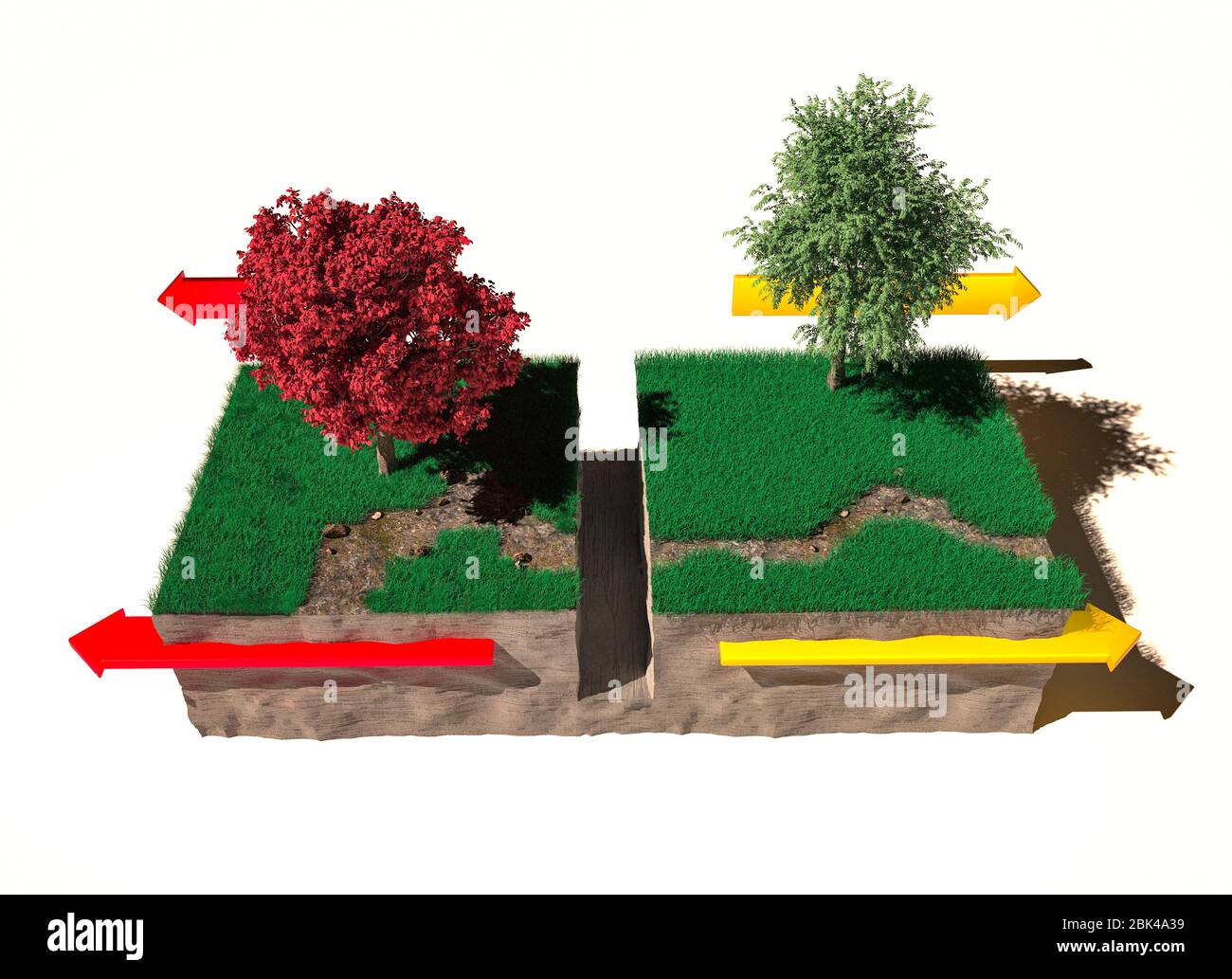 Différents types de limites de plaques : limites divergentes, section de terrain, rendu tridimensionnel. Plaques tectoniques, marge de glissement latérale, tremblement de terre Banque D'Images