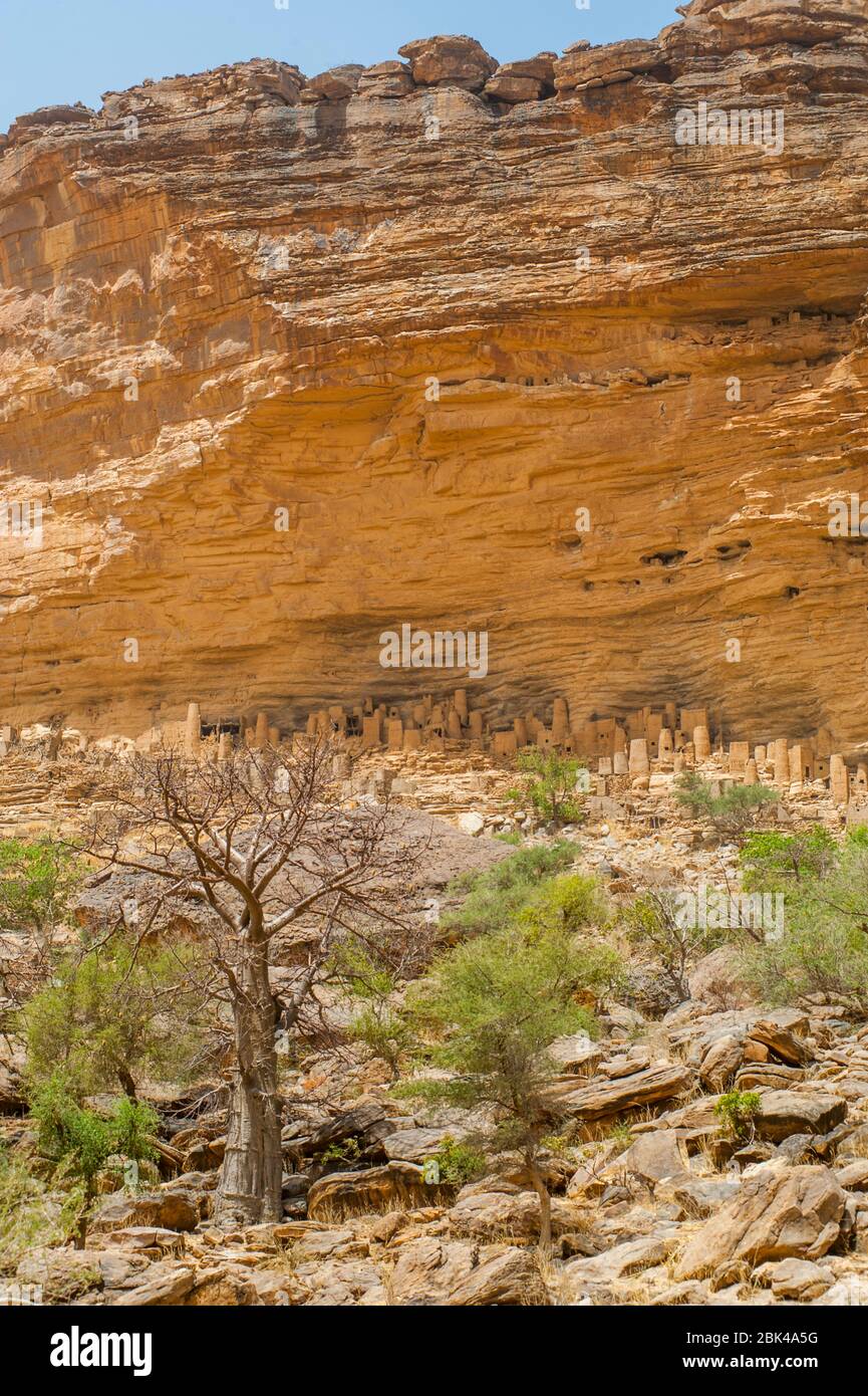 Vue sur les habitations de Cliffside de l'ancienne tribu Tellem (XIIIe siècle) dans l'escarpement de Bandiagara, dans le pays Dogon, au Mali, en Afrique de l'Ouest. Banque D'Images