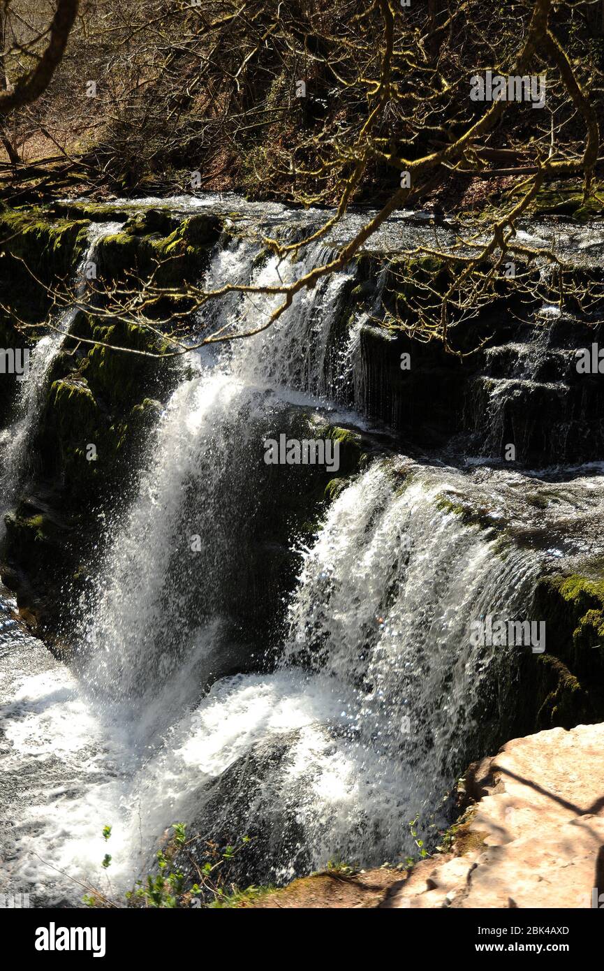 Sgwd y Pannwr, Afon Mellte. Banque D'Images