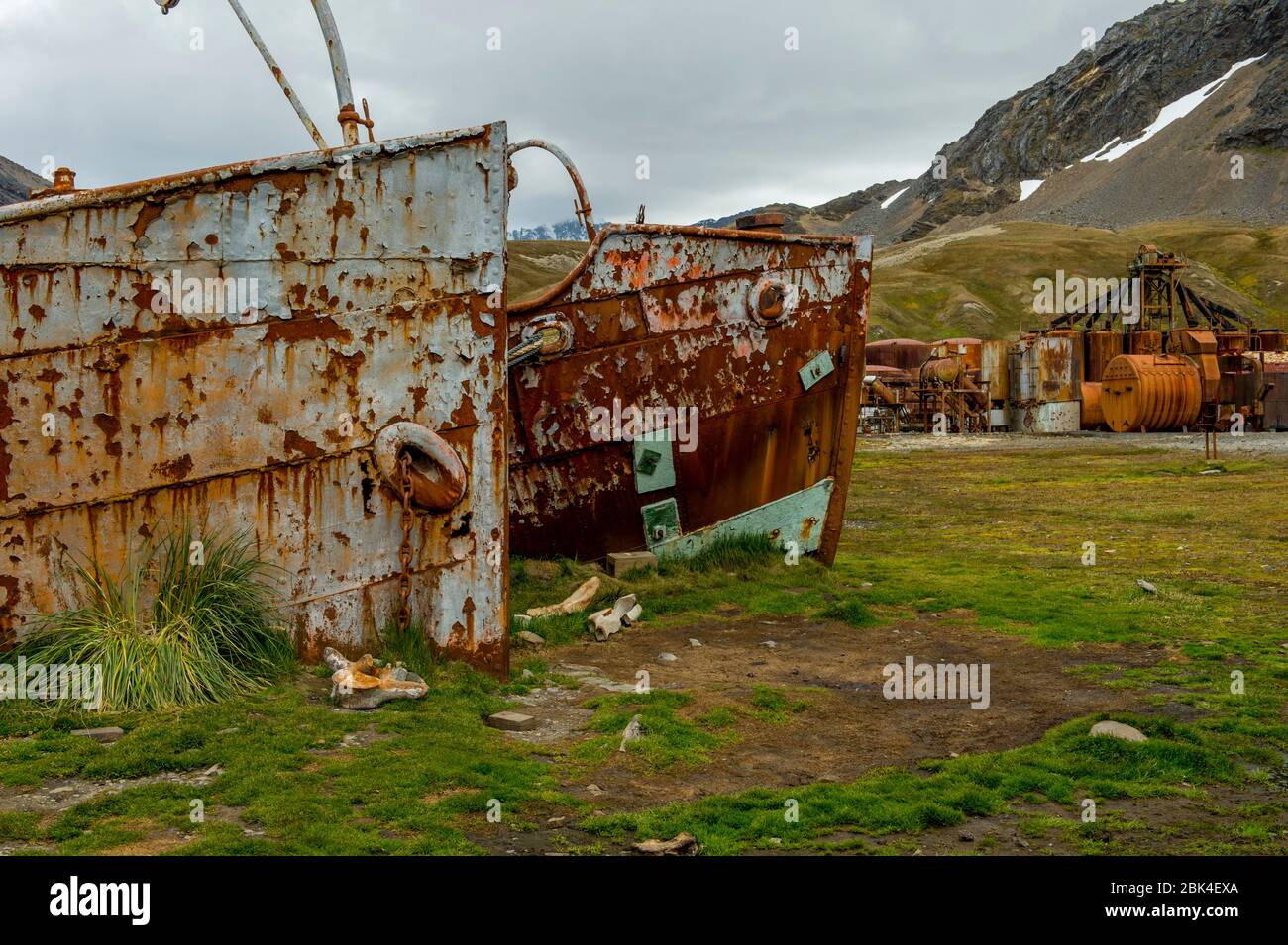 Arceaux rouillés de navire de chasse à la baleine à la station de chasse norvégienne à Grytviken, sur l'île de Géorgie du Sud, sous-Antarctique. Avec os de baleine dans le front Banque D'Images