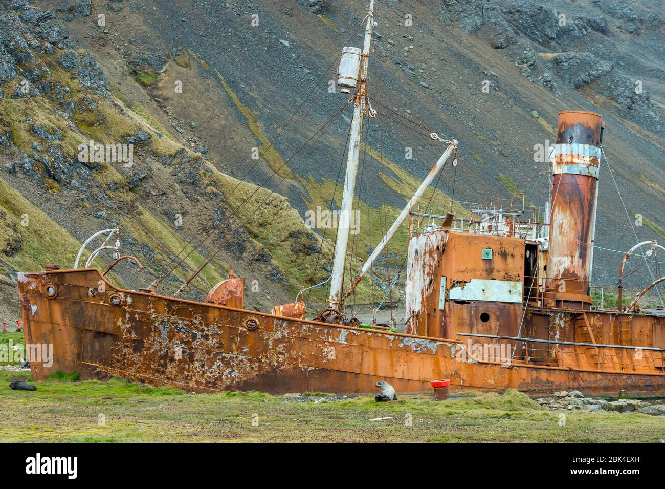 Navire de chasse à la baleine à la station de chasse norvégienne de Grytviken, dans l'île de Géorgie du Sud, sous-Antarctique. Banque D'Images