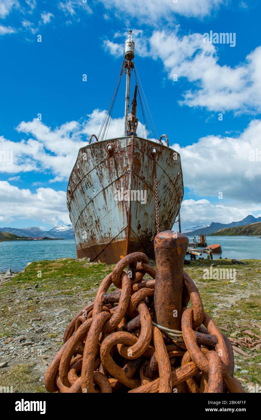 Navire de chasse à la baleine avec harpon à la station de chasse à la baleine norvégienne de Grytviken, sur l'île de Géorgie du Sud, sous-Antarctique. Banque D'Images