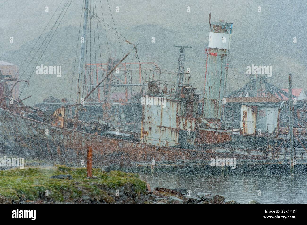 Navire de chasse à la baleine en pleine tempête de neige à la station de chasse à la baleine norvégienne de Grytviken, sur l'île de Géorgie du Sud, dans la sous-Antarctique. Banque D'Images