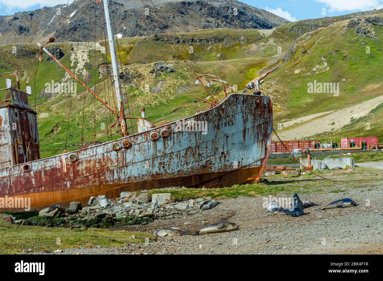 Navire de chasse à la baleine à la station de chasse norvégienne de Grytviken, dans l'île de Géorgie du Sud, sous-Antarctique. Banque D'Images