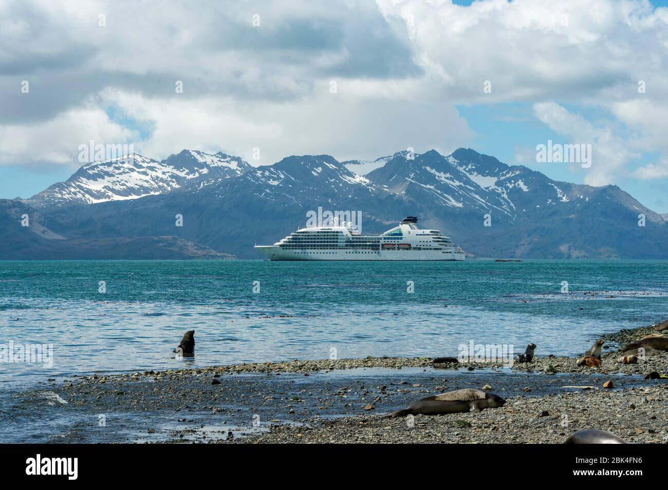 Le bateau de croisière Seabourn Quest à l'ancre dans la baie de l'ancienne station de chasse à la baleine norvégienne à Grytviken, Géorgie du Sud. Banque D'Images