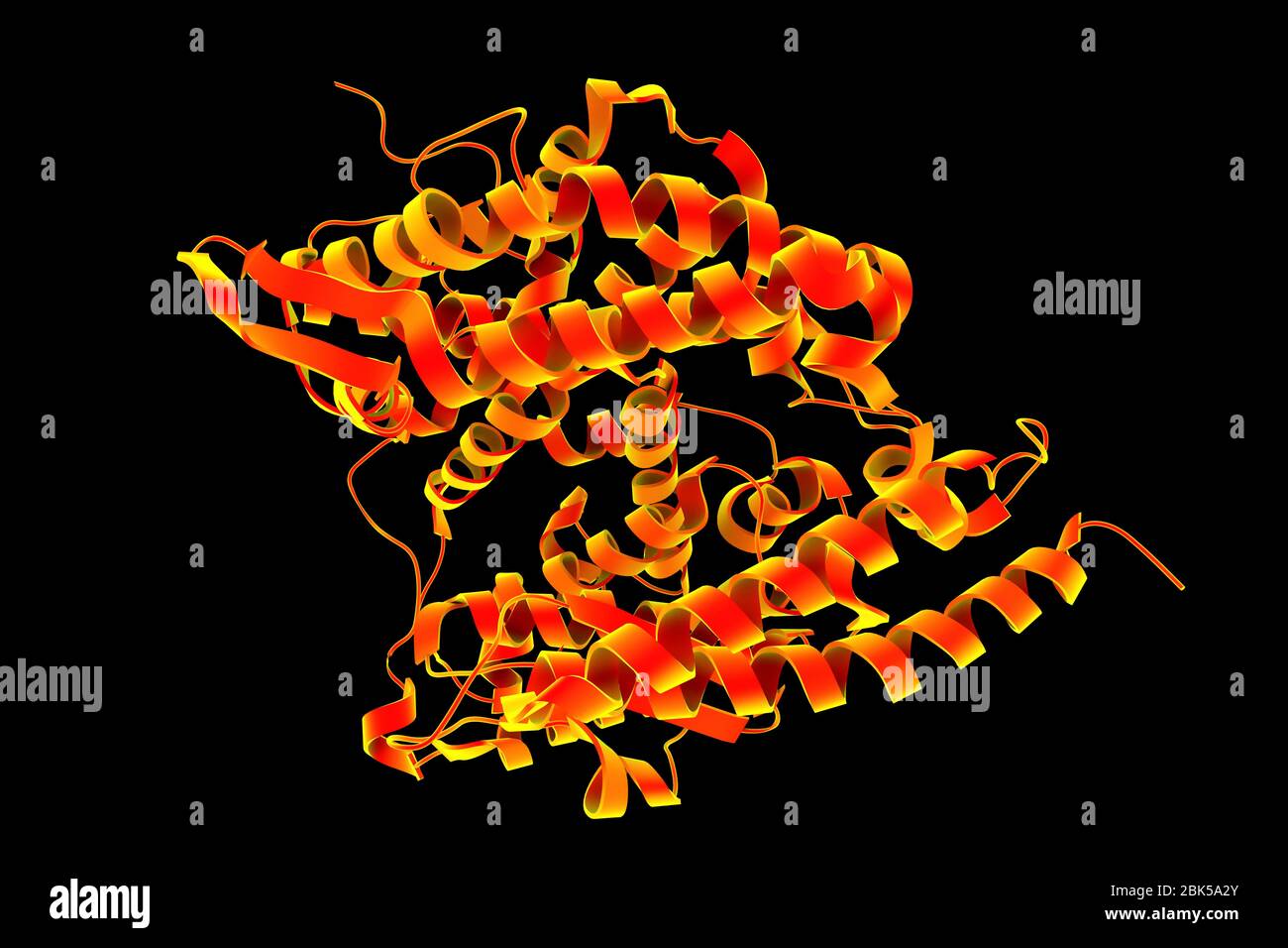 Récepteur ACE2 humain, illustration informatique. Le récepteur est un récepteur de type ACE2 (enzyme de conversion de l'angiotensine 2), qui est la voie d'entrée pour tous les types de particules du coronavirus. Covid-19, qui a vu le jour à Wuhan, en Chine, en décembre 2019, est une maladie respiratoire bénigne qui peut se développer en pneumonie et être mortelle dans certains cas. Elle est causée par le coronavirus du COV-SRAS-2 (auparavant le coronavirus du 2019-nCoV). Banque D'Images