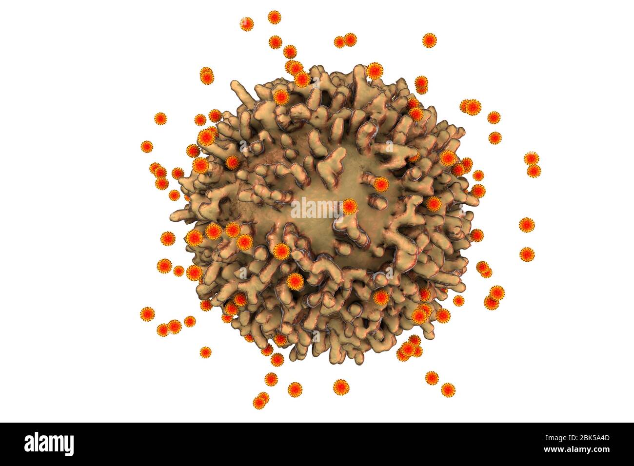 Virus du SRAS-COV-2 et cellule immunitaire. Image conceptuelle illustrant l'immunité antivirale et la vaccination. Banque D'Images