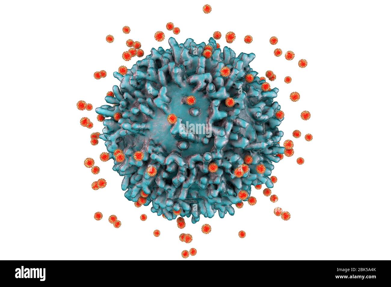 Virus du SRAS-COV-2 et cellule immunitaire. Image conceptuelle illustrant l'immunité antivirale et la vaccination. Banque D'Images
