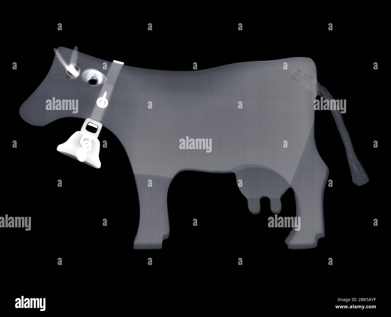 Vache jouet, rayons X. Banque D'Images