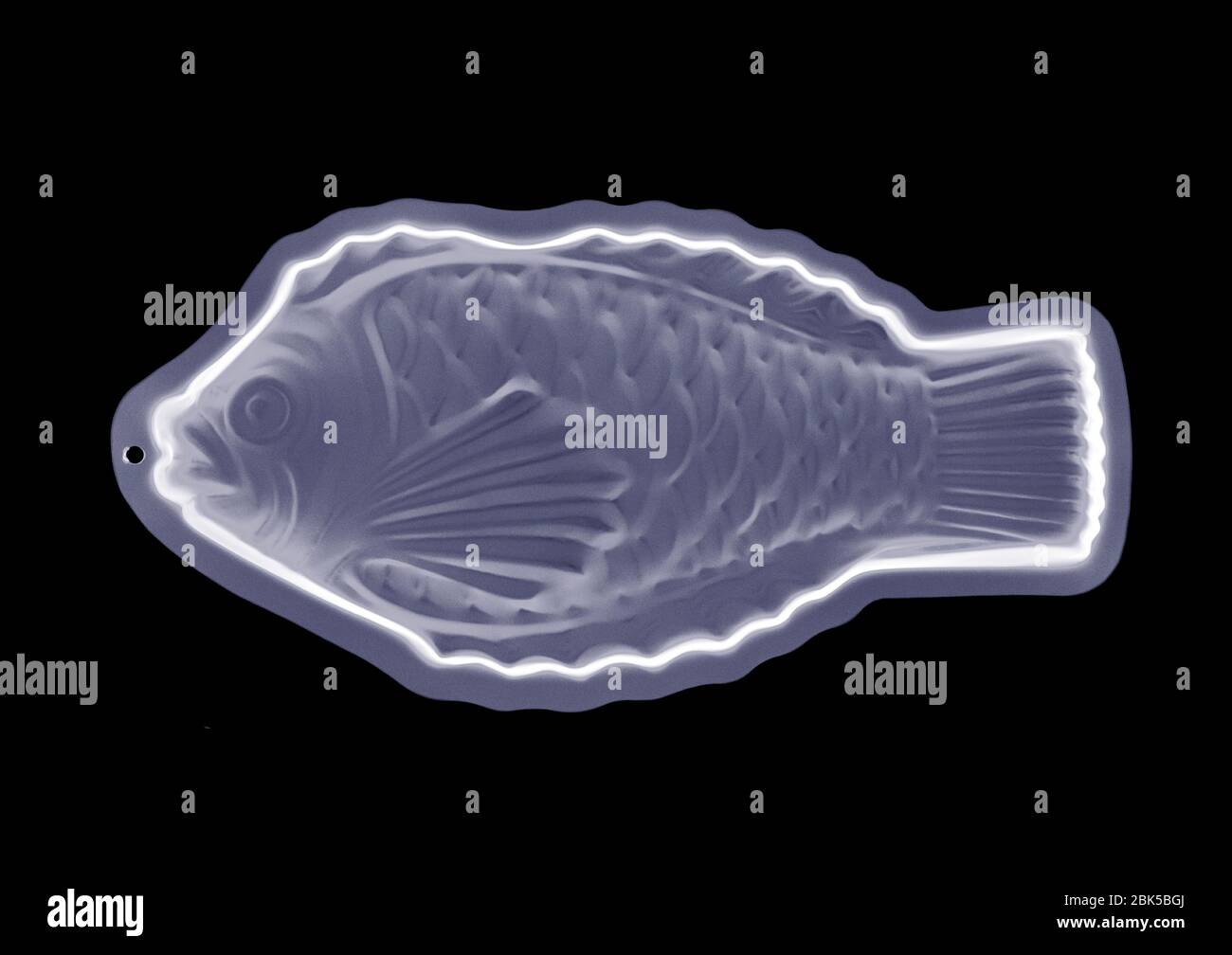 Moule en forme de poisson, rayons X. Banque D'Images