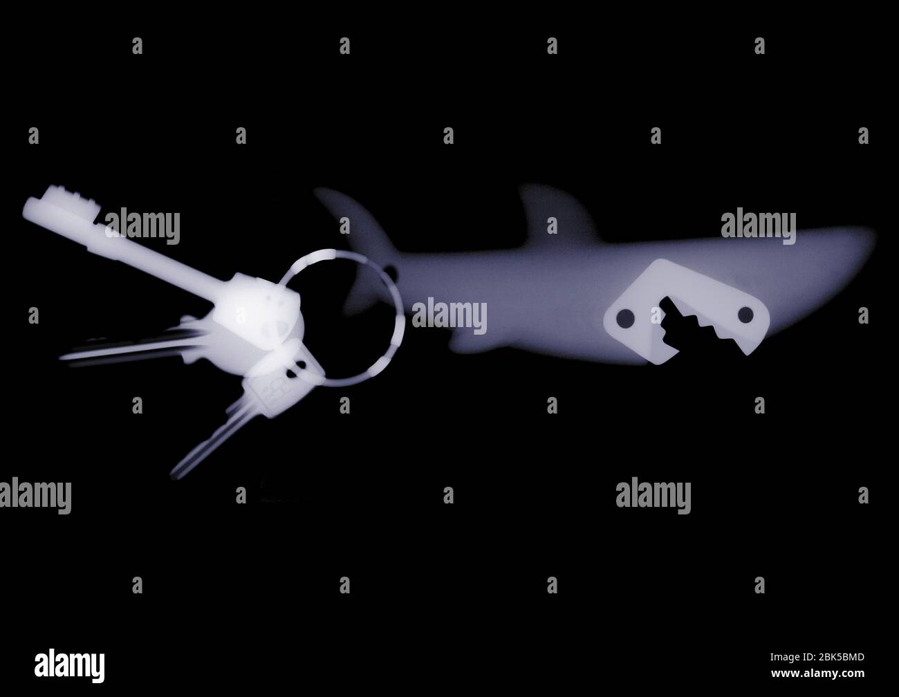 Anneau porte-clés et clés Shark, rayons X. Banque D'Images