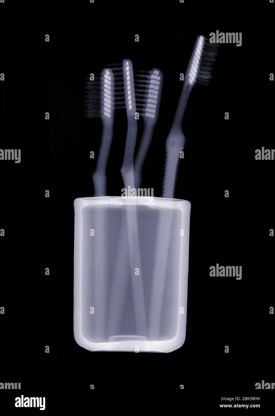Brosses à dents dans un conteneur, rayons X. Banque D'Images