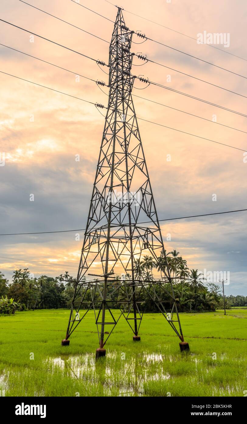 Les lignes électriques haute tension traversent les rizières dans les paysages ruraux des villages Banque D'Images