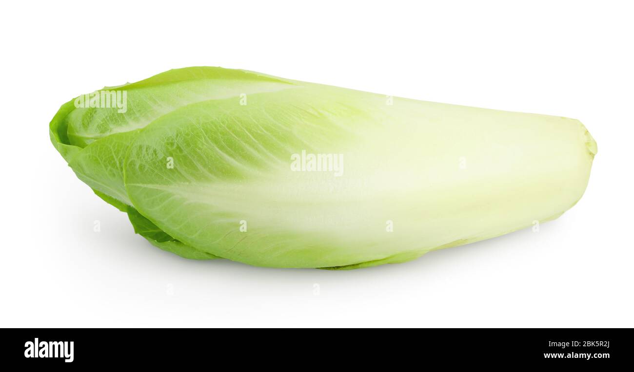 Salade de chicorée isolée sur fond blanc avec chemin de découpe et profondeur de champ complète Banque D'Images