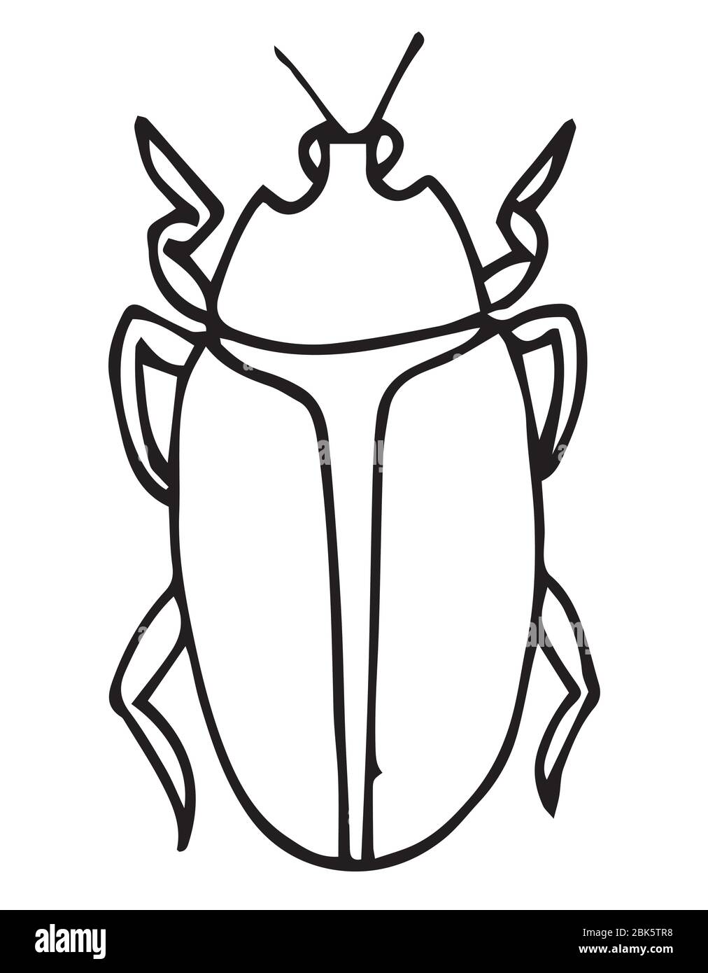 Coléoptère, vecteur de contour d'insecte, icône. Page de coloriage pour les enfants. Collection de bugs exotiques.style de gribouille dessiné à la main, isolé Illustration de Vecteur