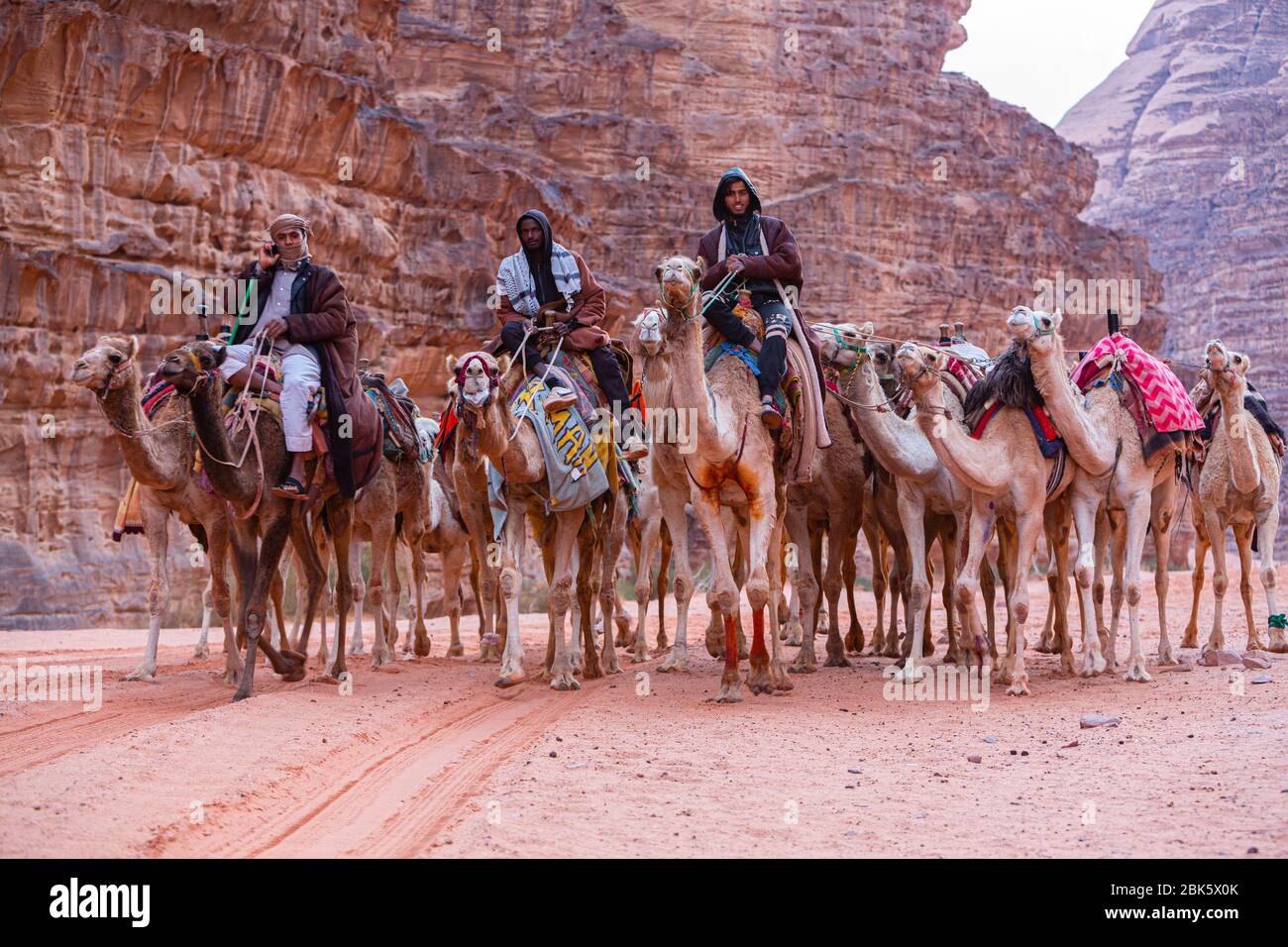 Bédouins en train de chameaux au désert de Wadi Rum, en Jordanie Banque D'Images