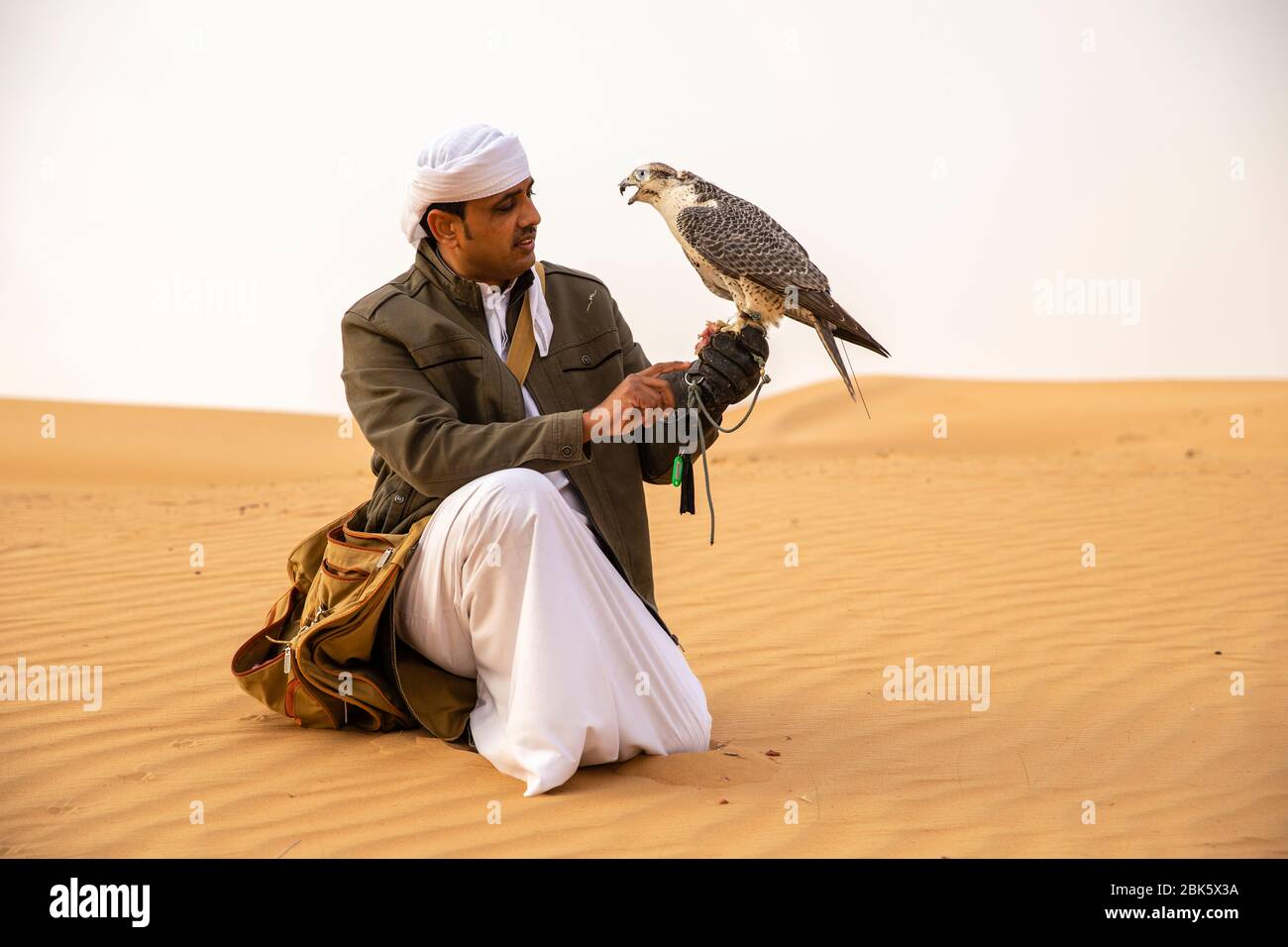 Fauconnerie dans la Réserve de conservation du désert de Dubaï, Dubaï, Émirats arabes Unis Banque D'Images