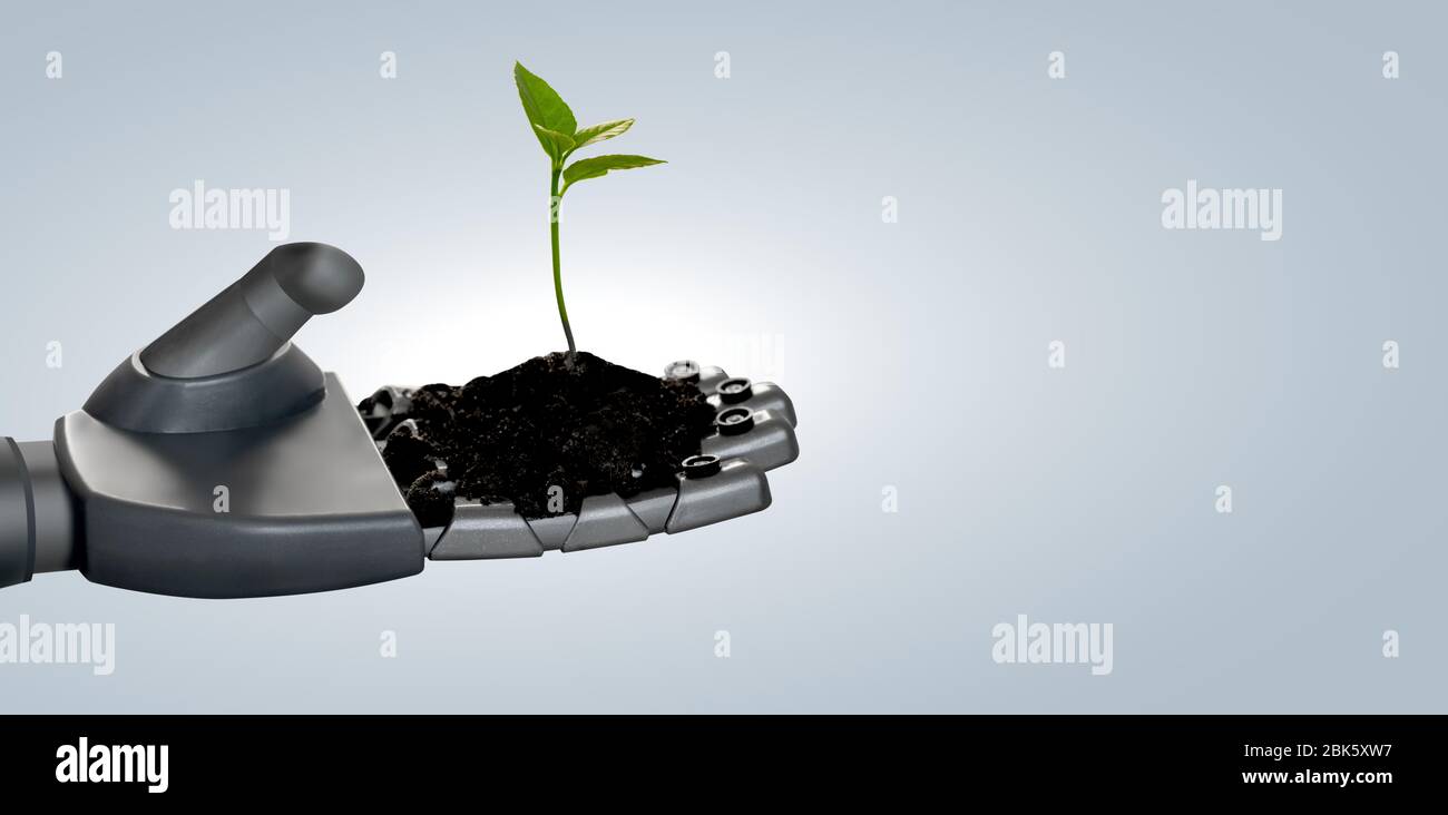 Bras du robot avec une usine. Transformation numérique en agriculture et en agriculture intelligente. Banque D'Images