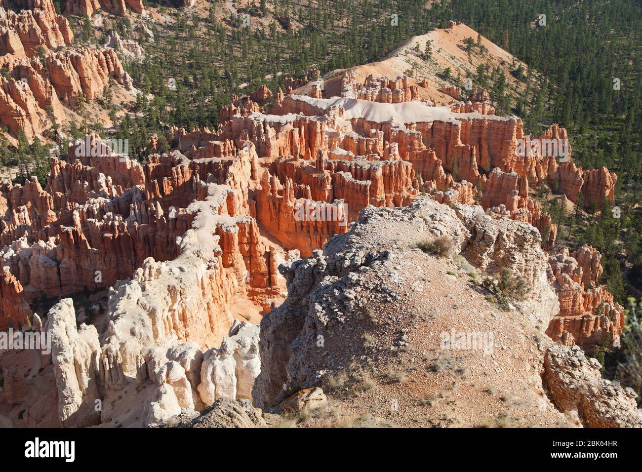 Bryce point, Bryce Canyon National Park, Utah, États-Unis. Banque D'Images