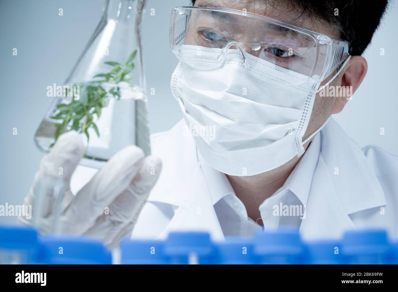 Chercheur asiatique de sexe masculin qui recherche des spécimens de plantes en laboratoire. Banque D'Images