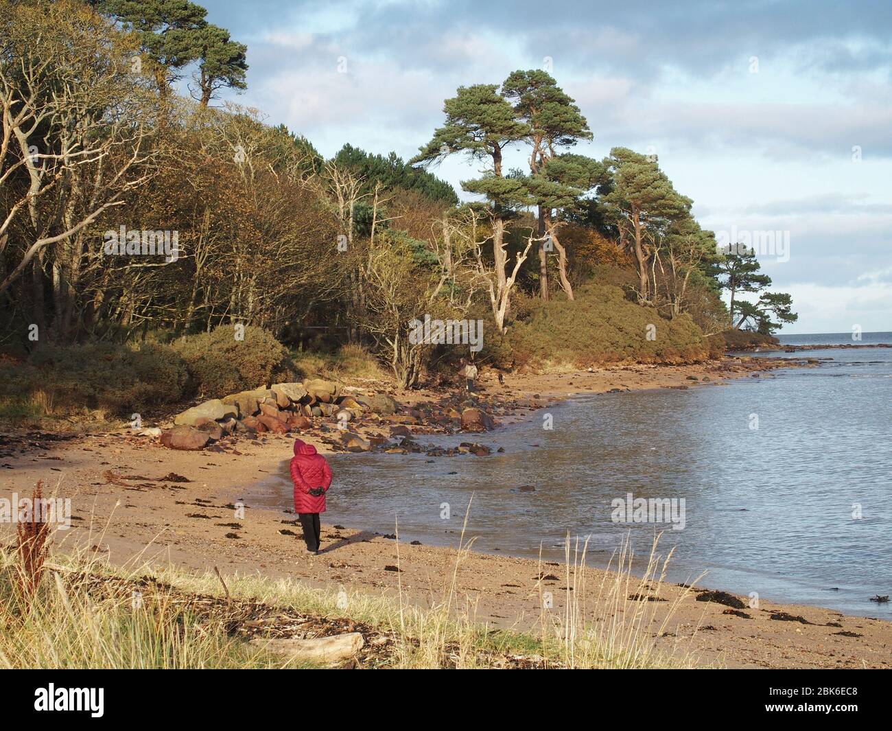 Femme marchant à côté de Tyne Sands, Tyne Mouth, Tyninghame Links, East Lothian Banque D'Images
