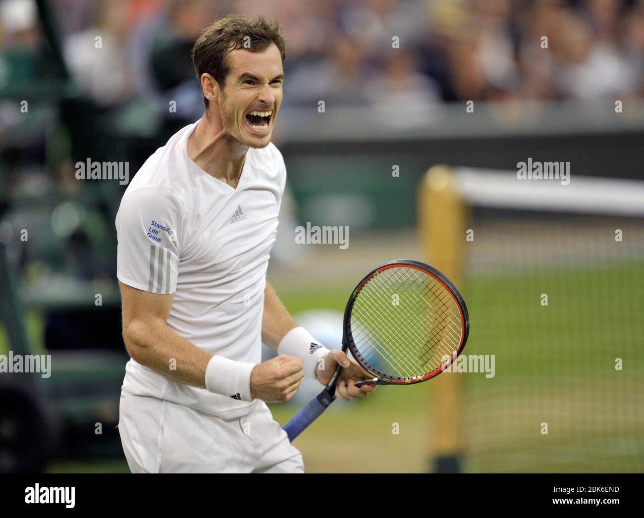 Tournoi de tennis de Wimbledon 2014, Wimbledon Londres. Andy Murray célèbre lors du quatrième match des célibataires pour les hommes contre Kevin Anderson (RSA) Banque D'Images