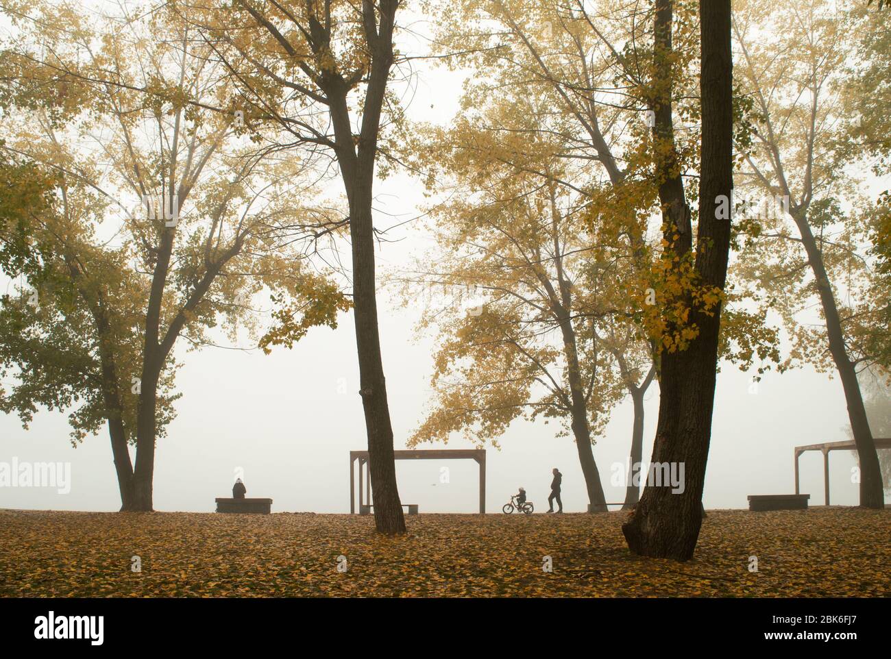 Golden automne avec des feuilles jaunes, orange, vertes sur les arbres. La rive de la rivière Dnieper. La personne est assise sur la banquette, l'enfant est assis sur la th Banque D'Images