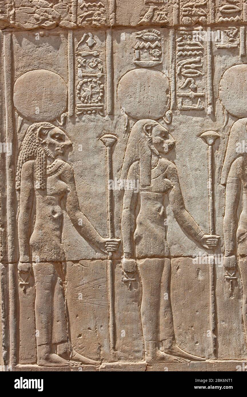 Sculptures hiéroglypiques sur le mur à l'ancien temple égyptien de Kom Ombo à Assouan Banque D'Images