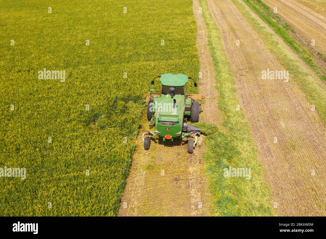 Moissonneuse-batteuse John Deere traitant un grand champ de blé pour l'ensilage, vue aérienne. Banque D'Images