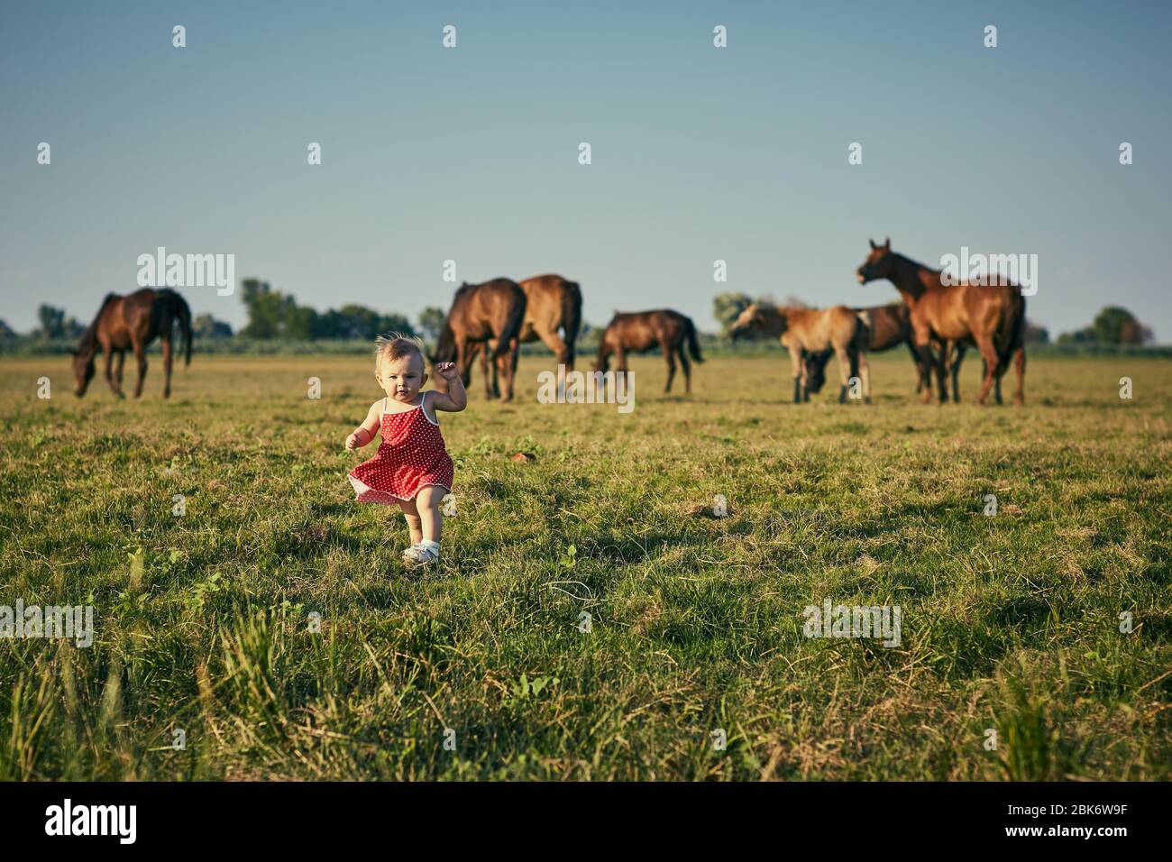 Petite fille en robe rouge dans un champ avec des chevaux. Banque D'Images