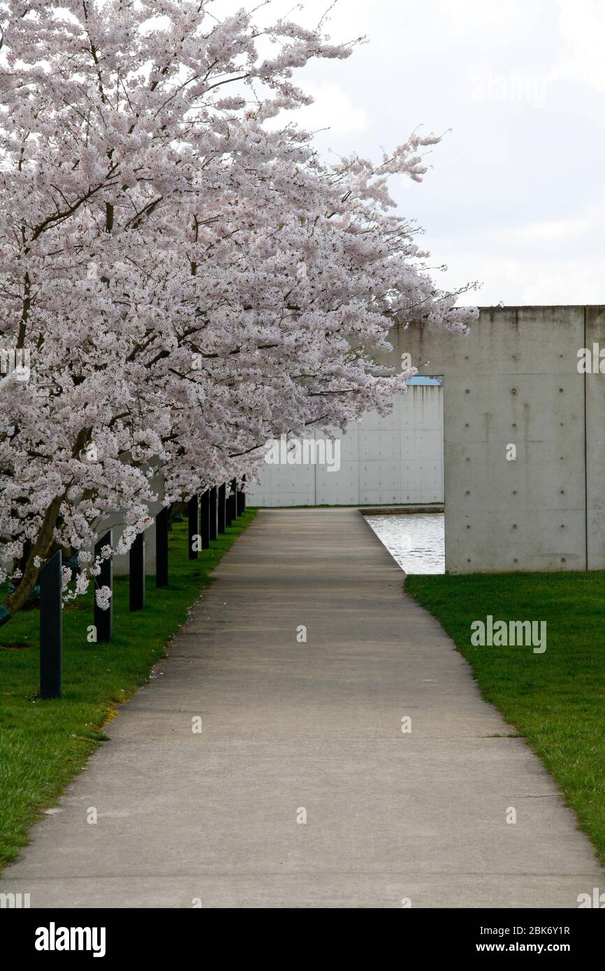 Architecture moderne à la fondation Langen, Allemagne Banque D'Images