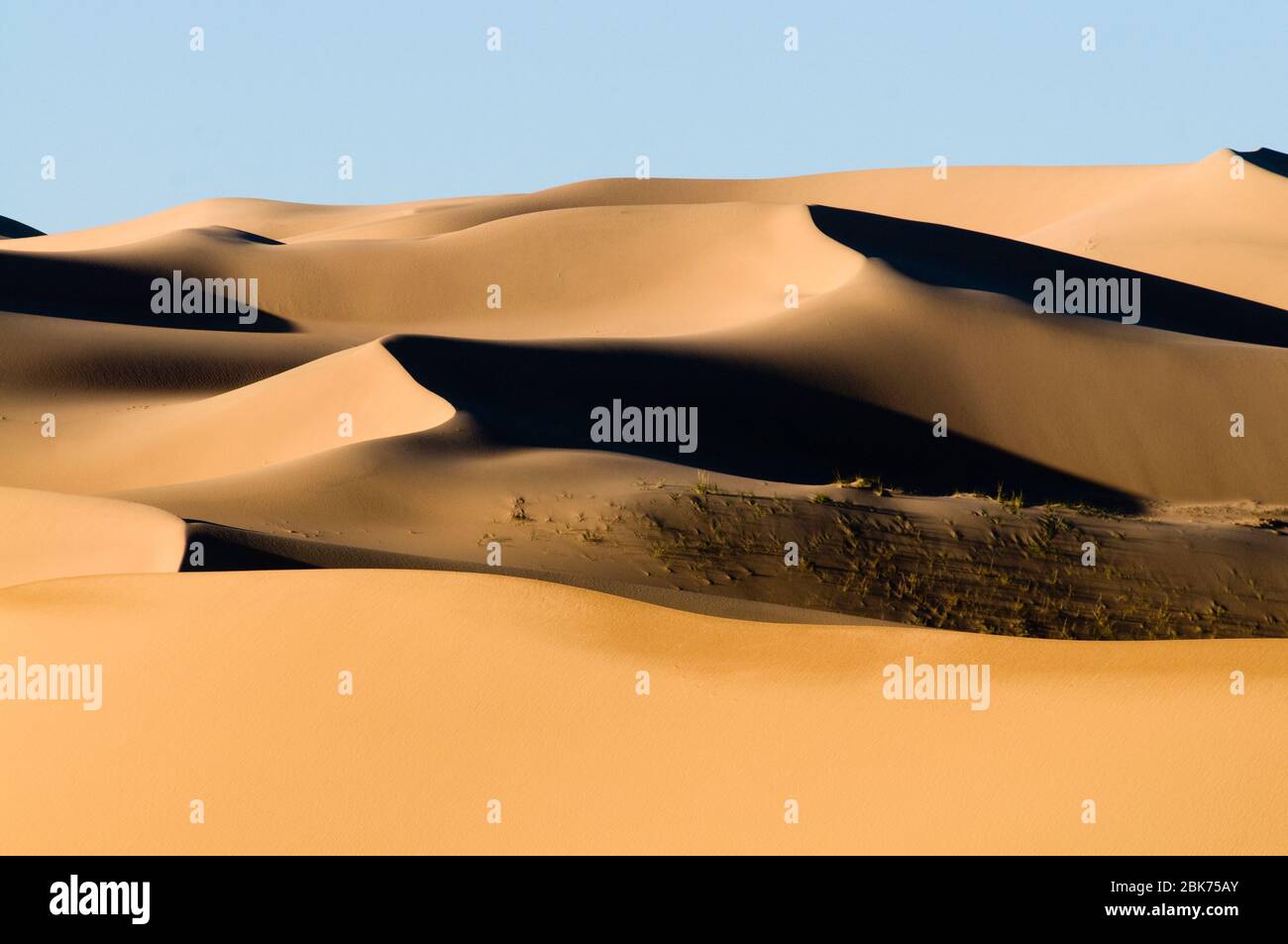 Khongoryn Els sand dunes dans le Sud Gobi Mongolie hiver Banque D'Images