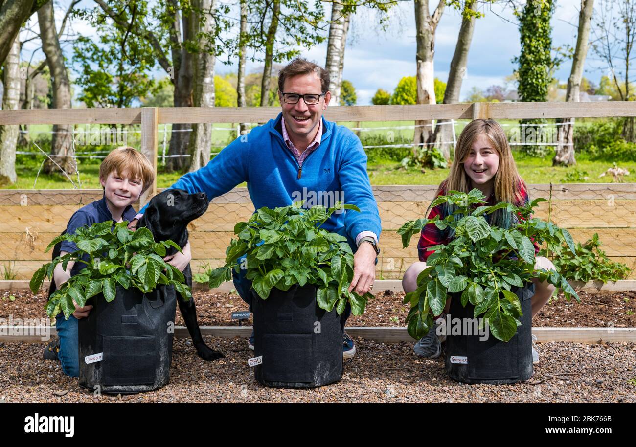 Camptoun, East Lothian, Écosse, Royaume-Uni. 2 mai 2020. Une communauté en isolement cellulaire : les résidents d'une petite communauté rurale montrent à quoi ressemble la vie en isolement cellulaire. Photo : Georgie, 11 ans, et Charlie, 9 ans, ont un certain nombre de projets autour de leur maison, y compris une compétition de culture de la pomme de terre avec leur père, Shane Banque D'Images