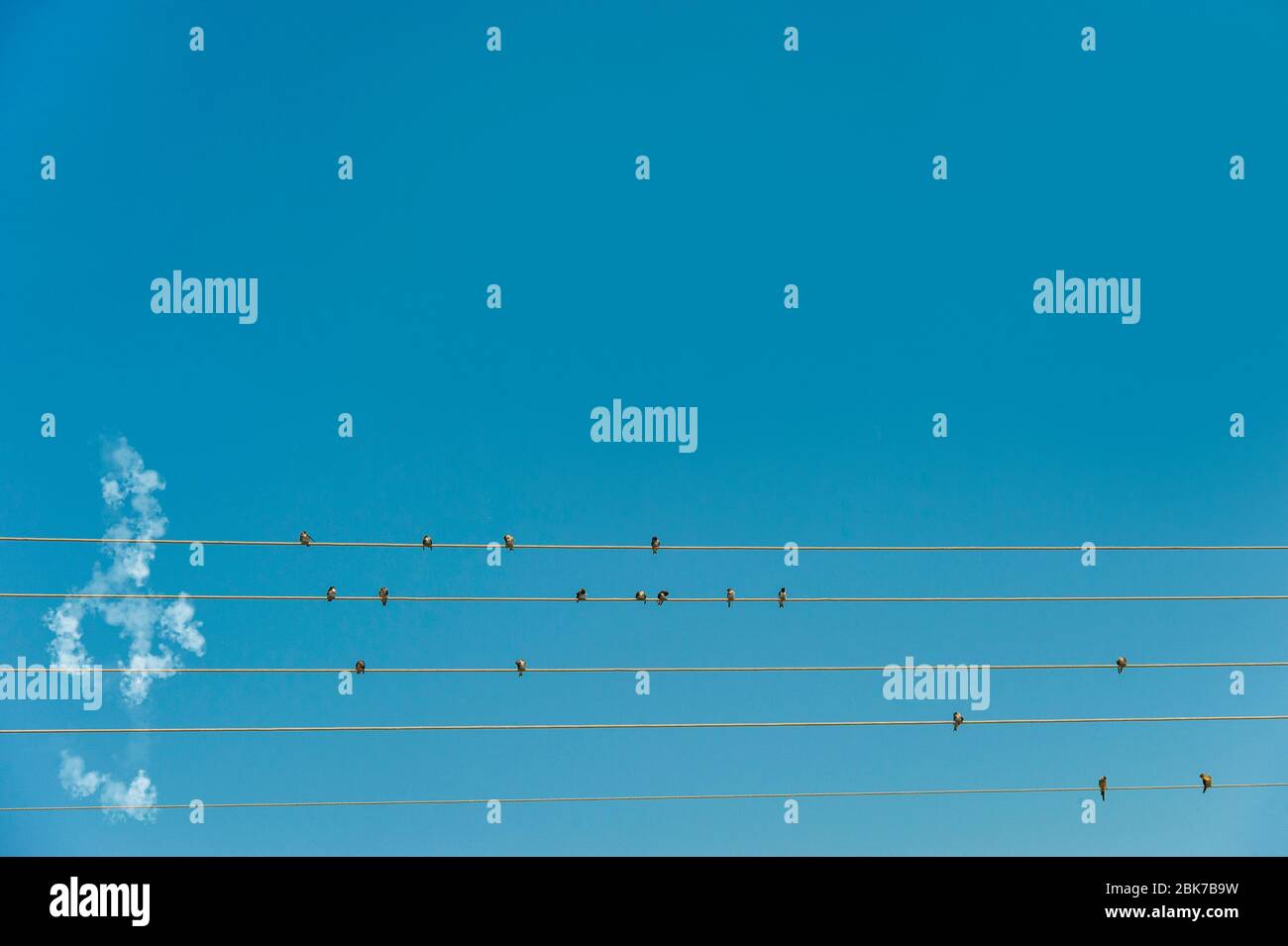 Une image conceptuelle de la musique, faite par swwulds sur des fils télégraphiques et une bande d'aigus faite de nuages Banque D'Images