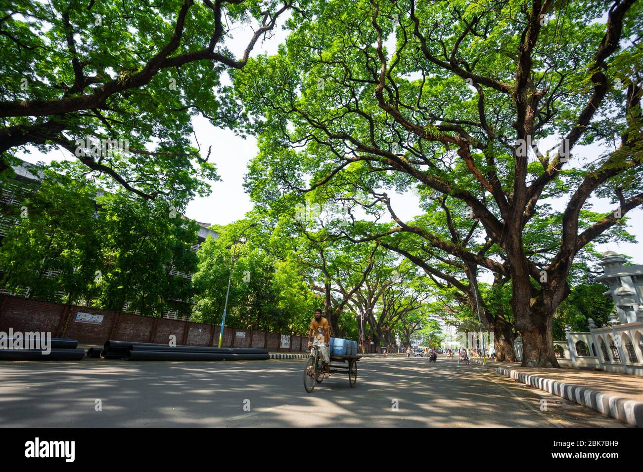 Les rues de la région du campus universitaire de Dhaka sont vides dans l'emprise du coronavirus à Dhaka, au Bangladesh. Banque D'Images