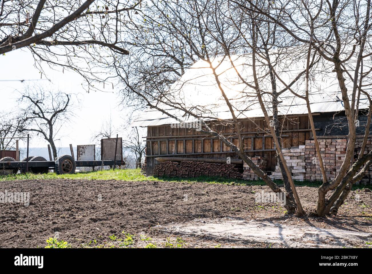 Agriculture champ agricole dans la cour du village Banque D'Images