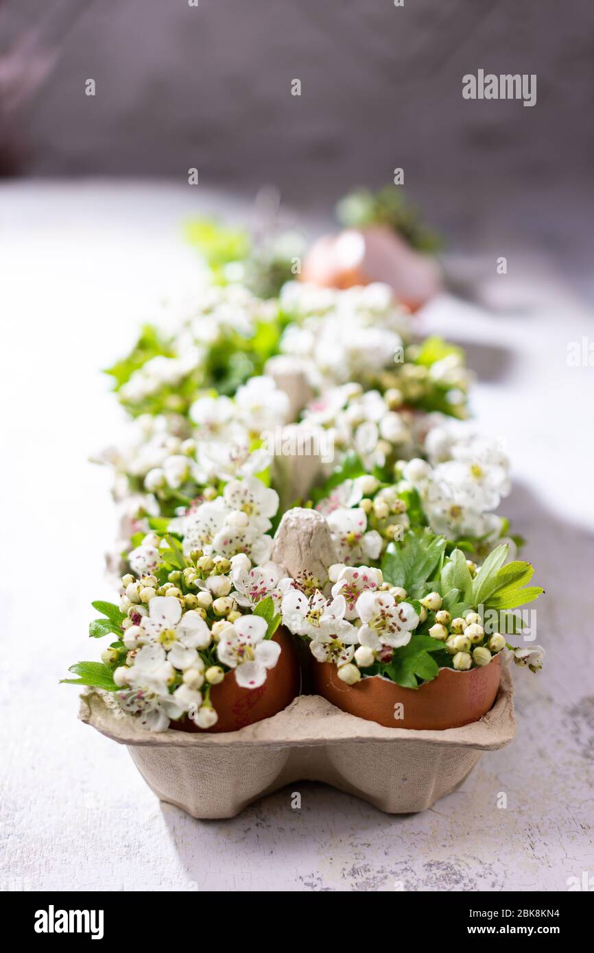 Fleurs en coquillage.Décoration de table.Accueil jardin.Old Wood.style vintage Banque D'Images