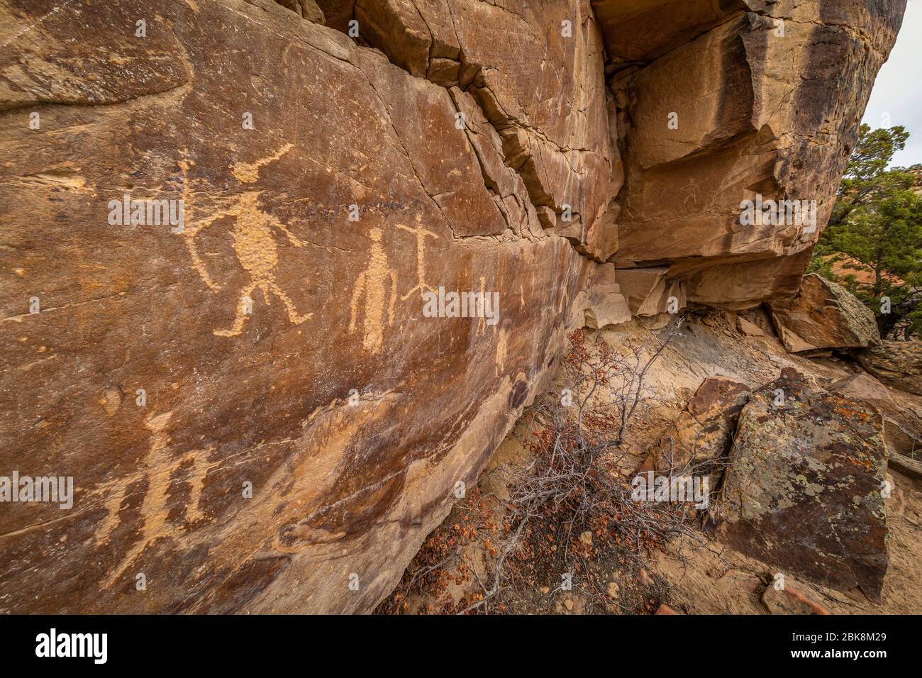 Pétroglyphes dans le canyon de Petroglyph, à la frontière entre le Montana et le Wyoming Banque D'Images