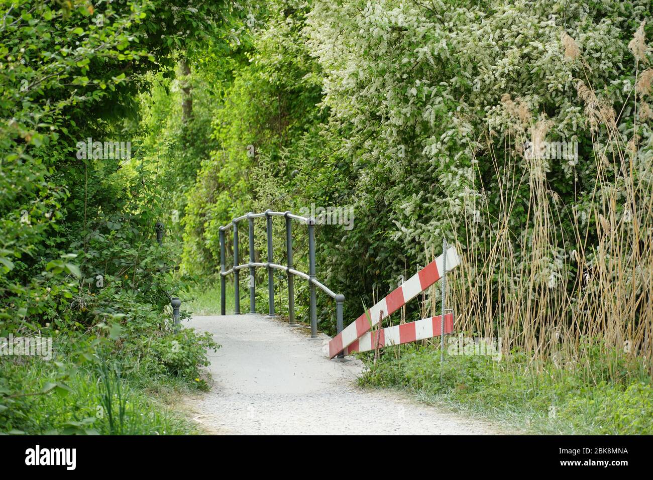 planches de barrière remplaçant une partie manquante d'un pont dans un paysage plein de végétation luxuriante et un pont fait de tuyaux métalliques Banque D'Images