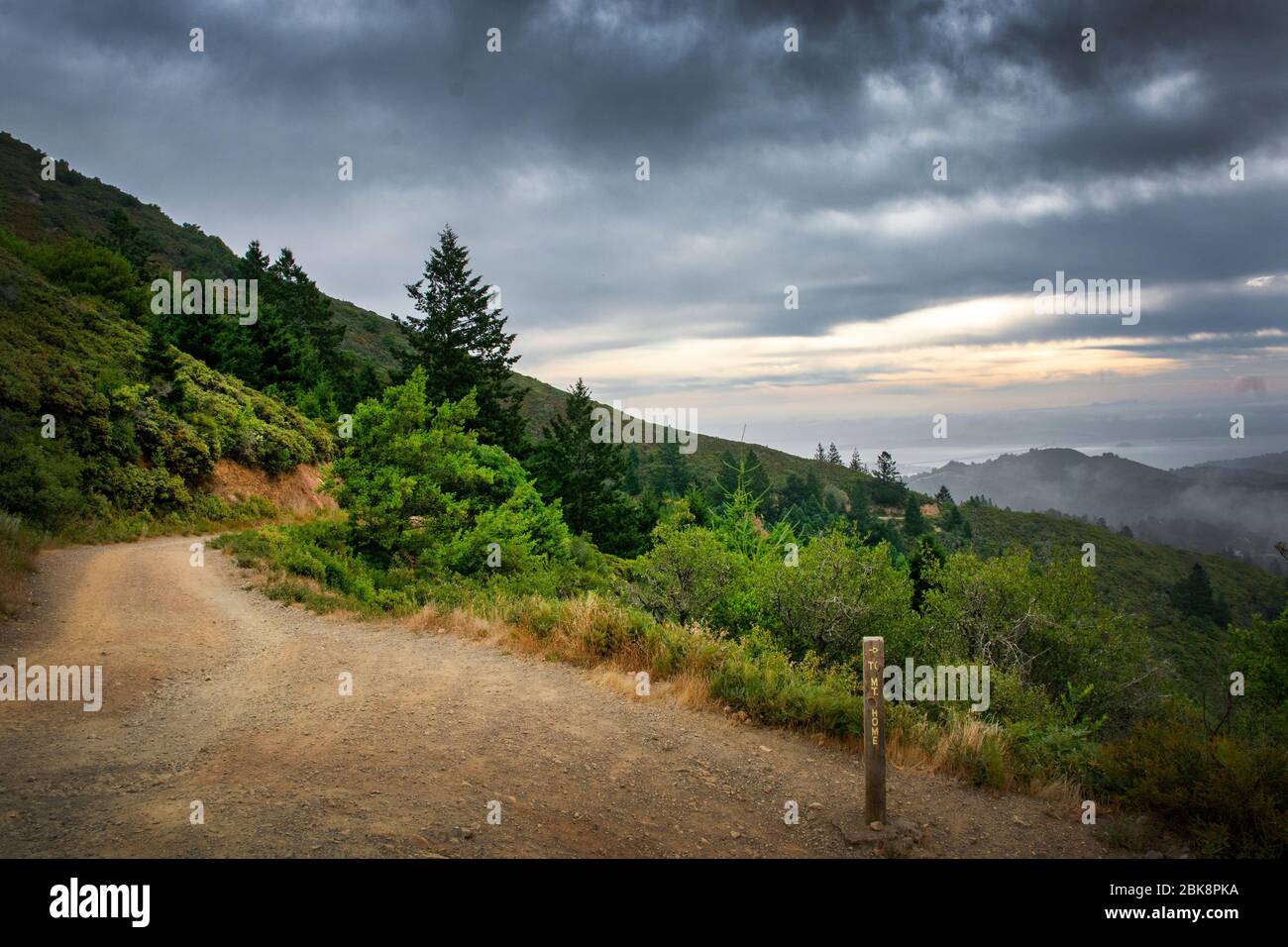 Le Mont Tamalpais State Park, Californie Banque D'Images