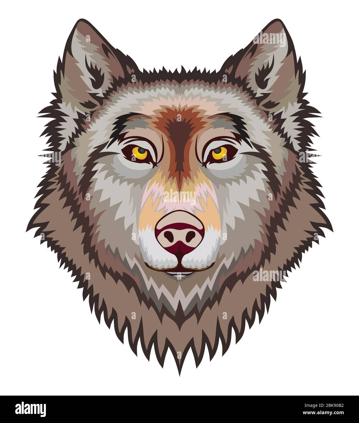 Tête de loup, isolée sur fond blanc. Imprimé animal sauvage. Peut être utilisé comme imprimé t-shirt. Illustration graphique de couleur vectorielle. Illustration de Vecteur